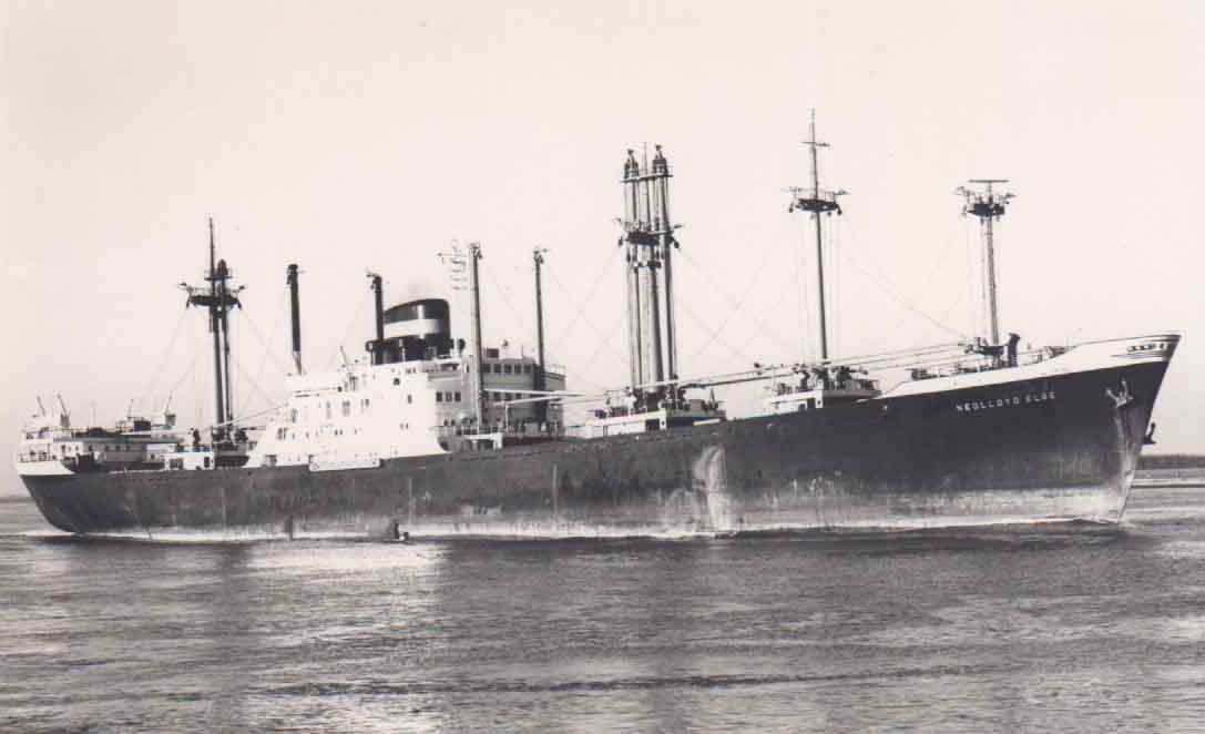 Nedlloyd Elbe